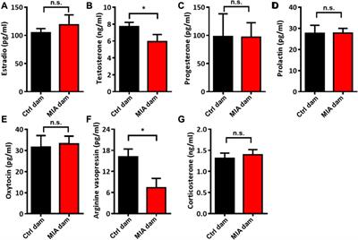 Poly(I:C)-induced maternal immune activation causes elevated self-grooming in male rat offspring: Involvement of abnormal postpartum static nursing in dam